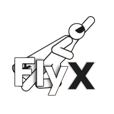 FlyX